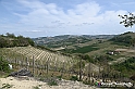 VBS_3102 - Mango (Cuneo) - Gnomovia